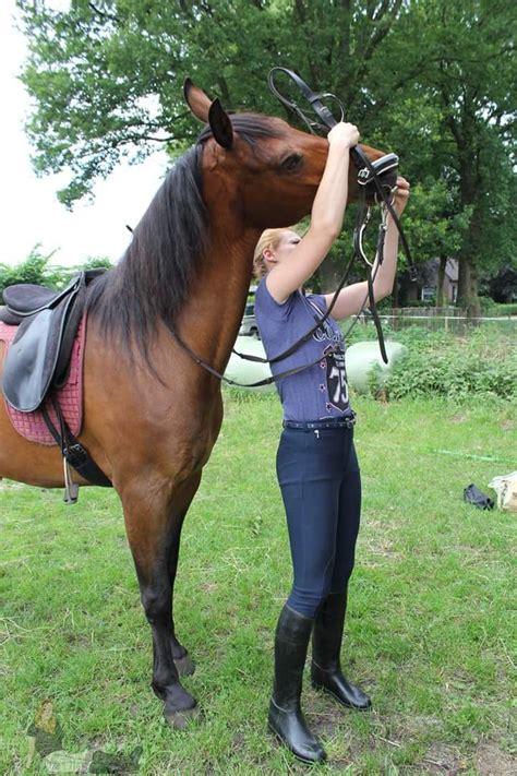 xxx reiten|reiten videos